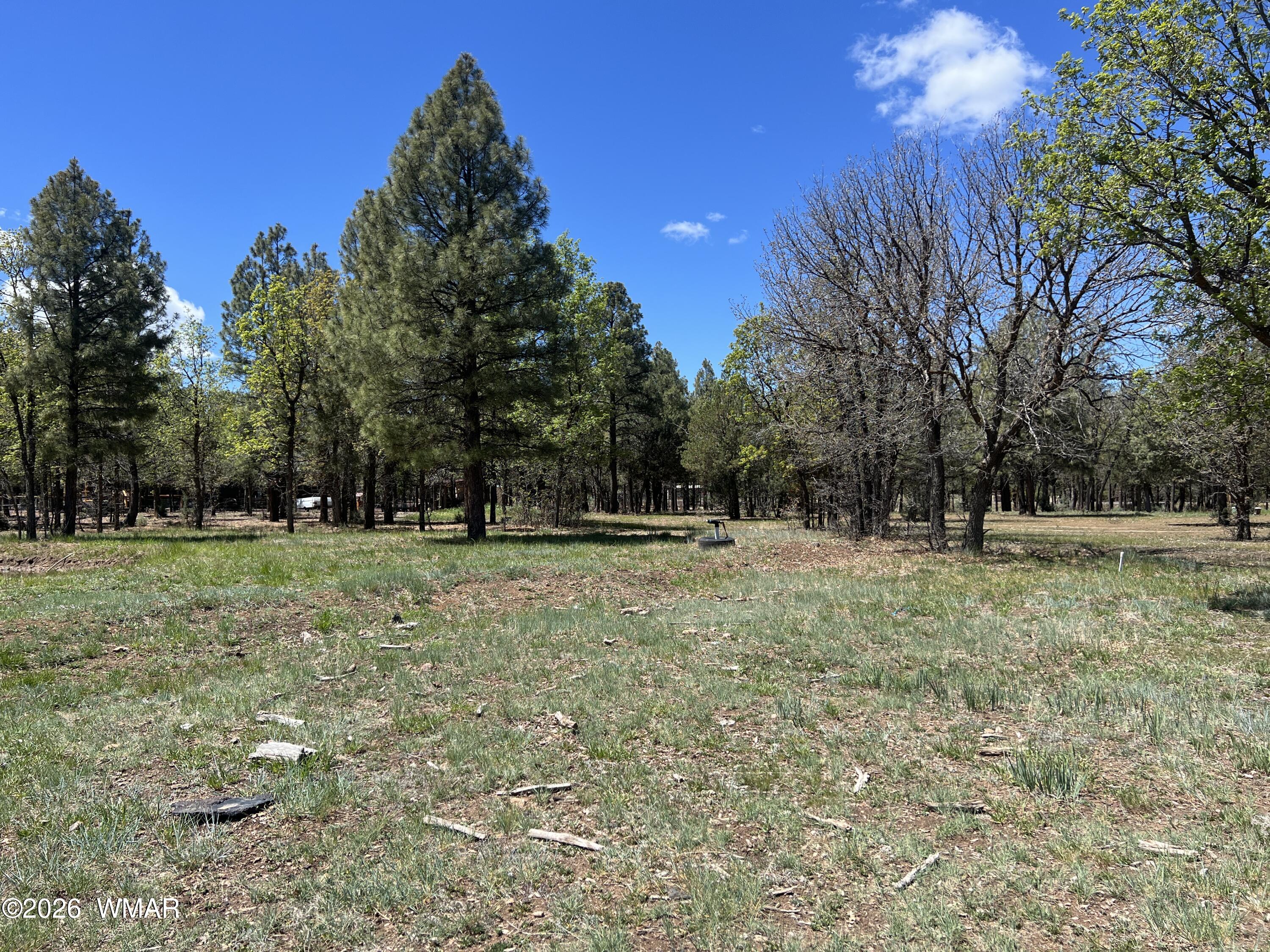 1321 South Woodland Road Lakeside, AZ 85929 - Photo 3 of 24 03