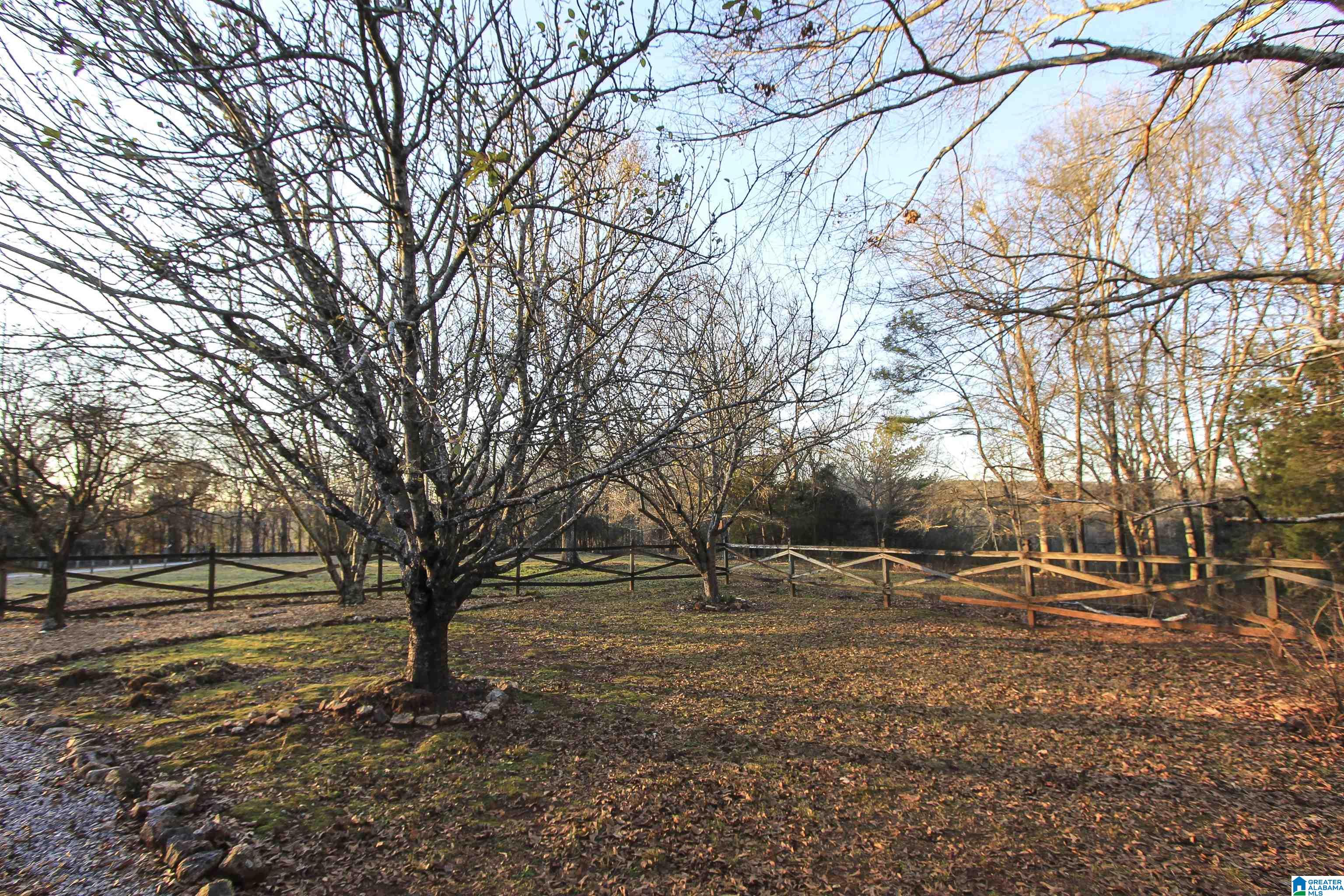 11022 Jackson Trace Road Lincoln, AL 35096 - Photo 75 of 79