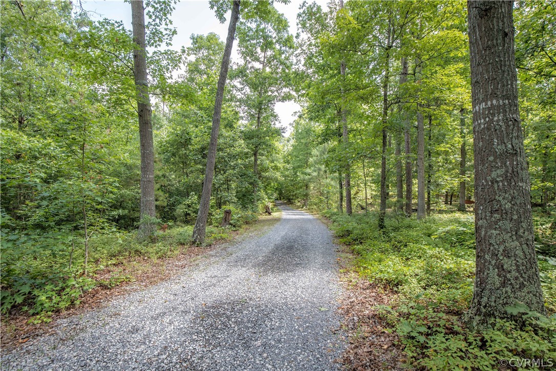 4625 Treely Road Chester, VA 23831 - Photo 3 of 50 a view of a forest with trees