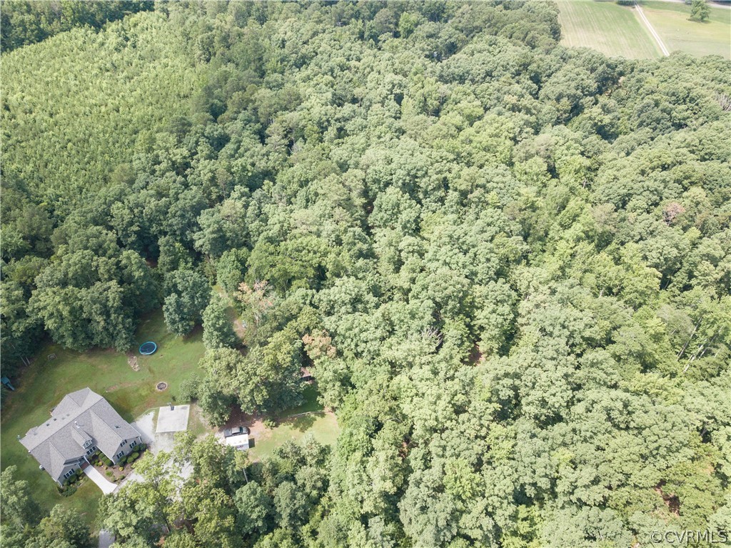 4625 Treely Road Chester, VA 23831 - Photo 47 of 50 a view of a lake with a house