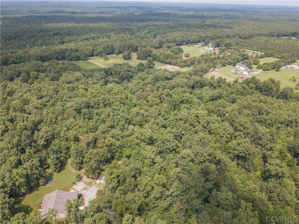 4625 Treely Road Chester, VA 23831 - Photo 48 of 50 a view of a field with an ocean