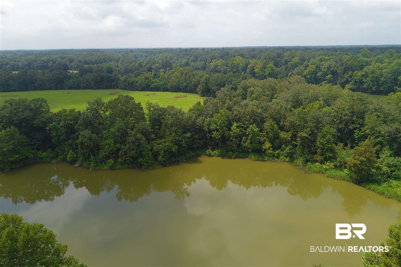 0 Jimmy Phillips Road Greensboro, AL 36744 - Photo 9 of 16