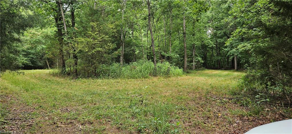 2025 Lace Knoll Road East Bend, NC 27018 - Photo 39 of 42