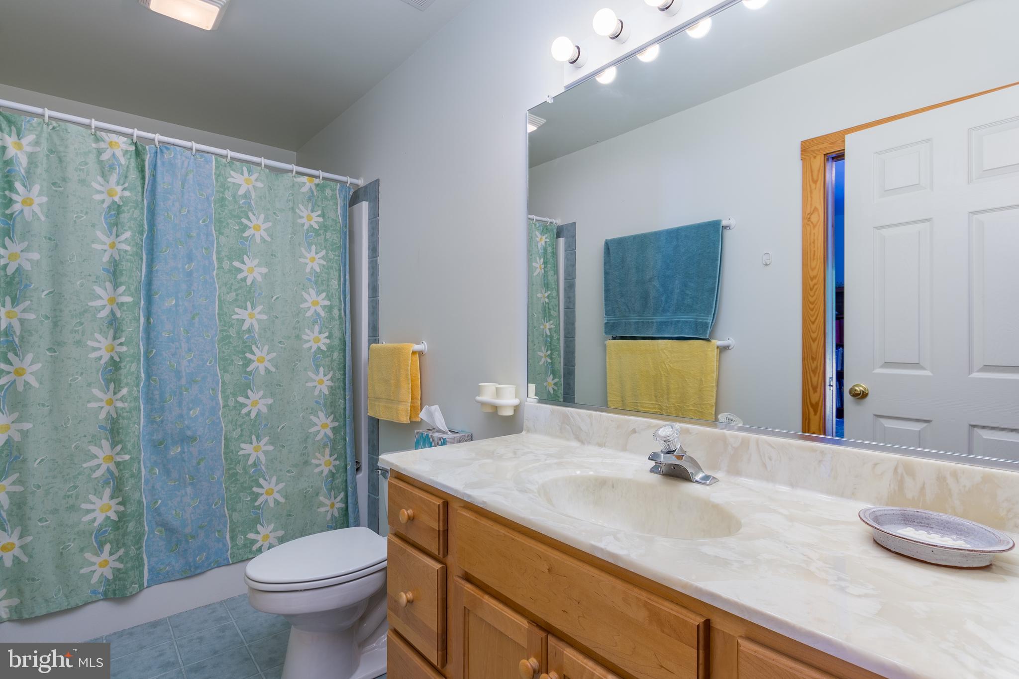 533 Bethany Loop Bethany Beach, DE 19930 - Photo 28 of 44 Guest bath