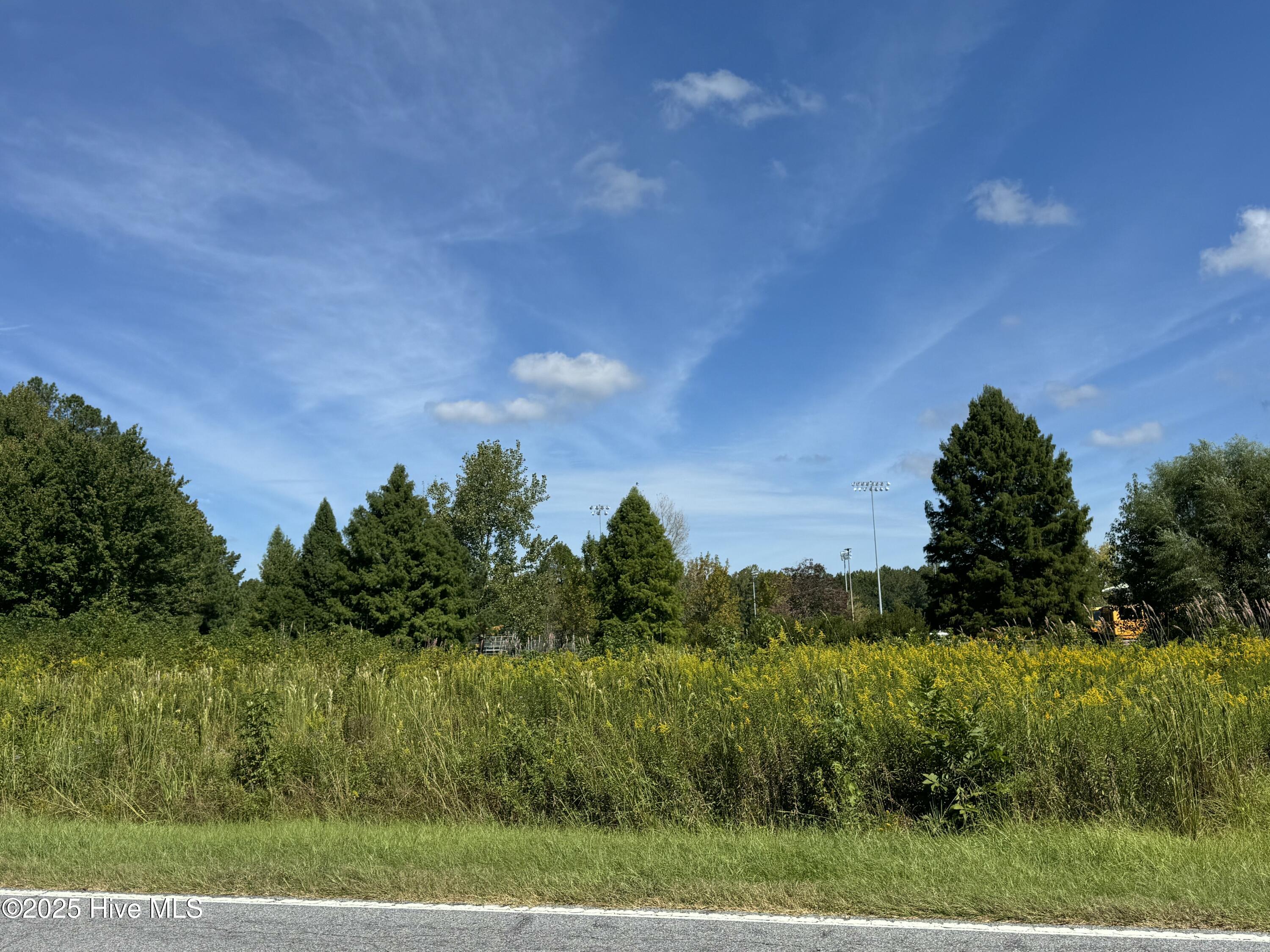 4073 Possum Track Road Chocowinity, NC 27817 - Photo 4 of 7 IBehind.jpg