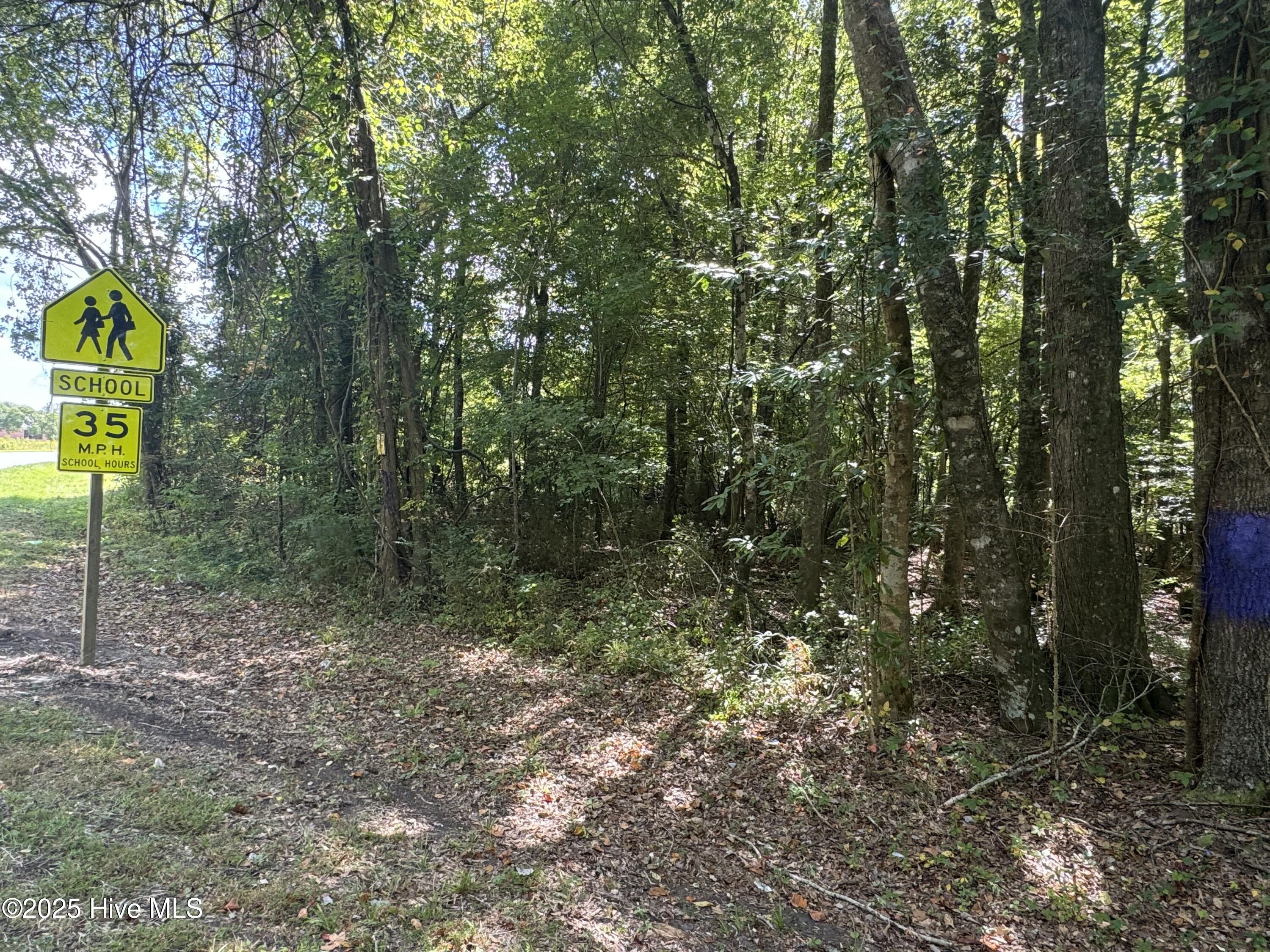 4073 Possum Track Road Chocowinity, NC 27817 - Photo 6 of 7 IMG_5688