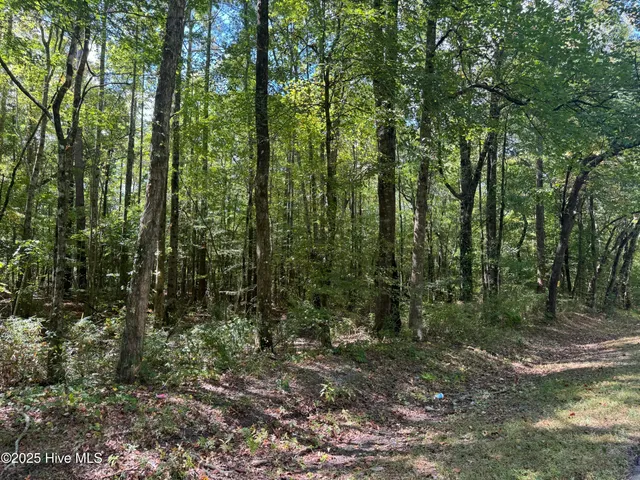 $180,000 | 4073 Possum Track Road, Chocowinity, NC 27817