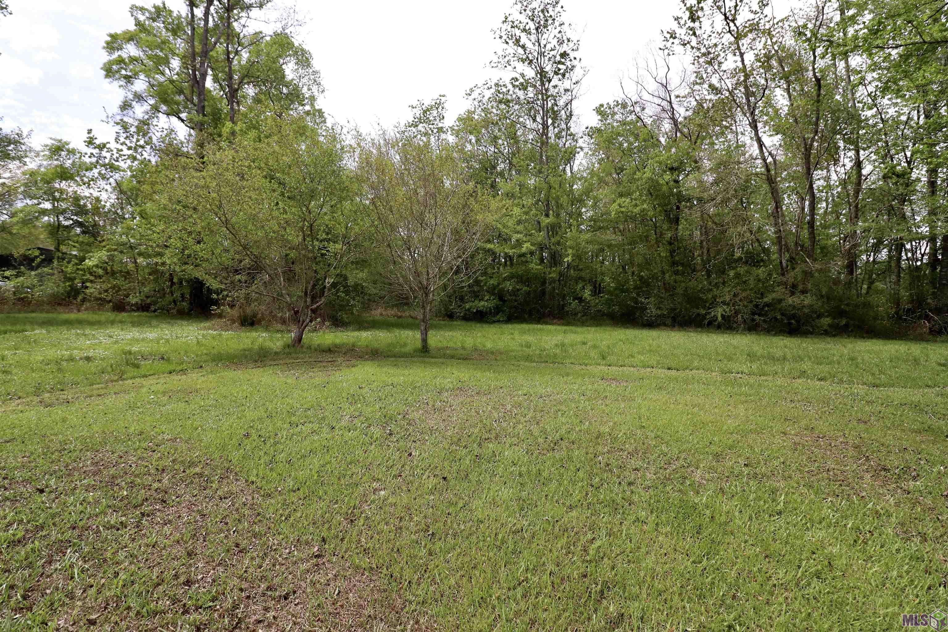 13683 Devall Road Baton Rouge, LA 70818 - Photo 11 of 13