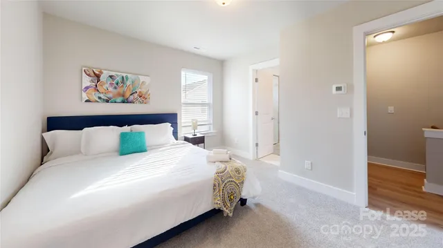 a bedroom with a bed and a walk in closet