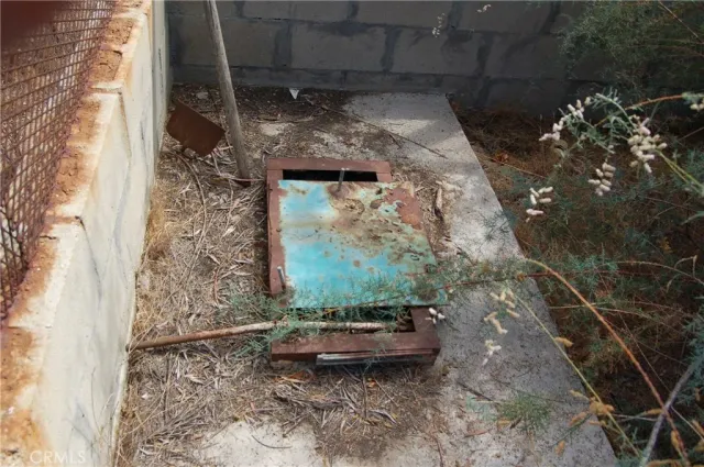 a view of a dry yard with trees
