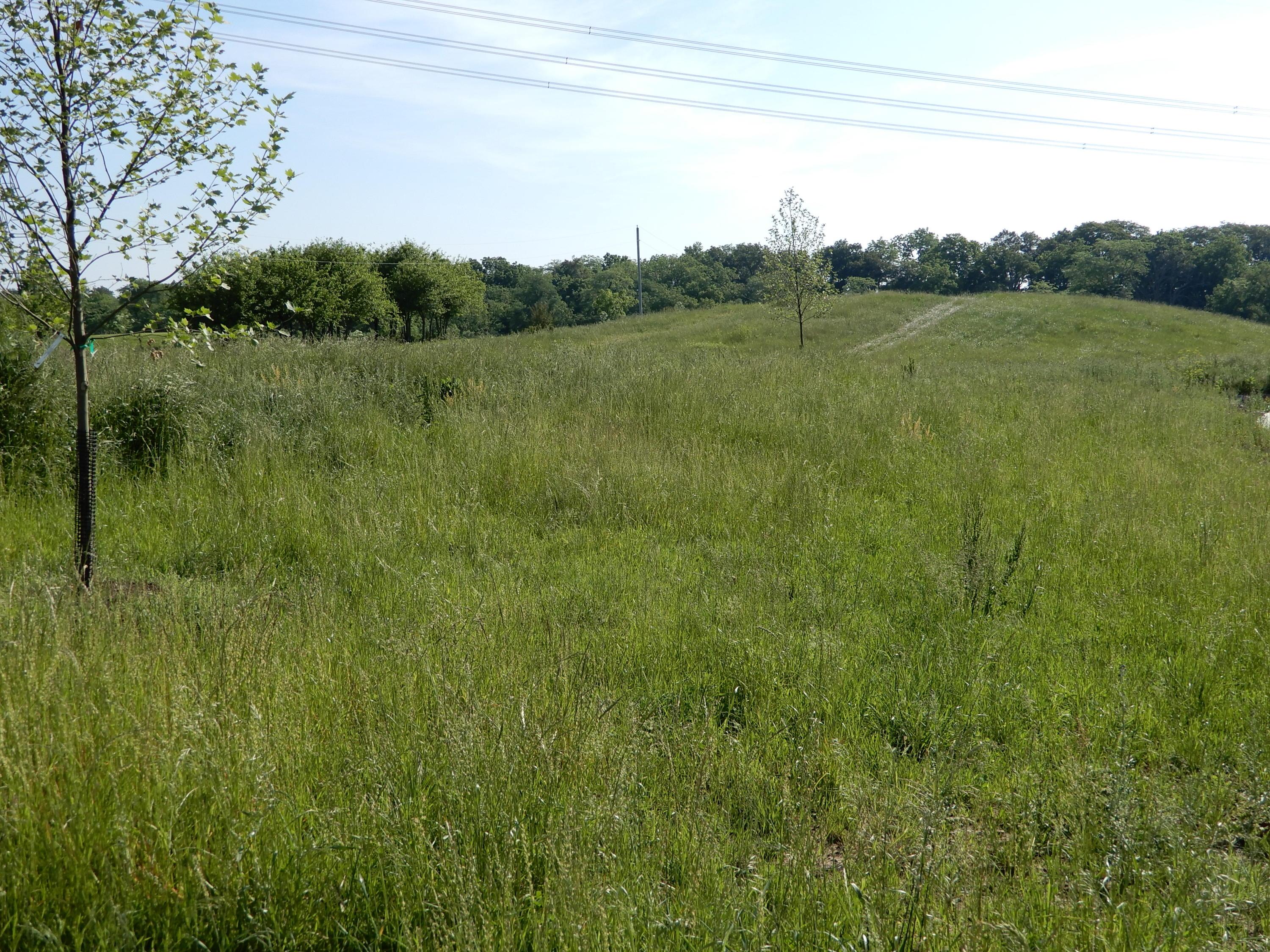 0 Smith Hulse Road Circleville, OH 43113 - Photo 16 of 18