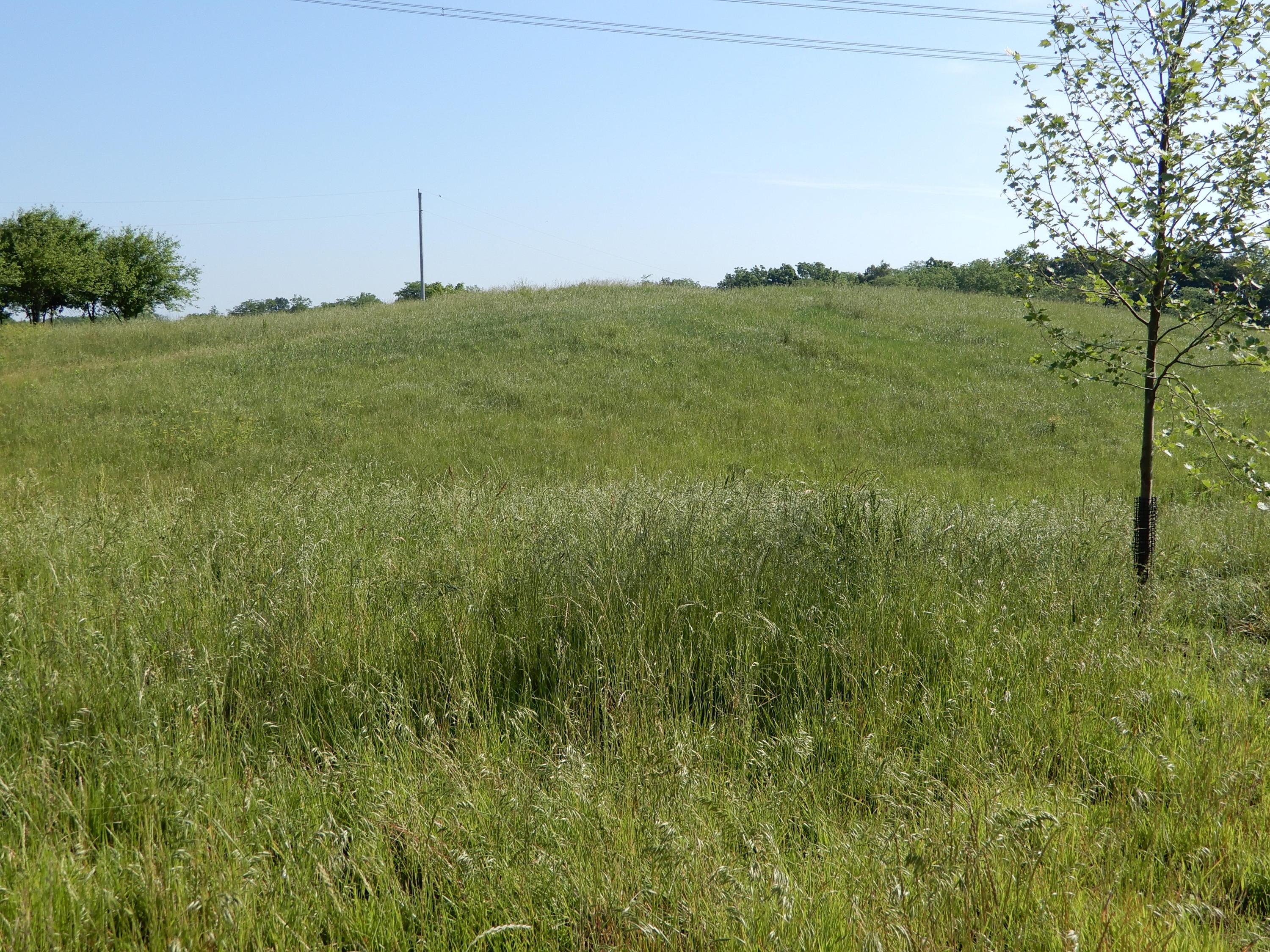 0 Smith Hulse Road Circleville, OH 43113 - Photo 18 of 18