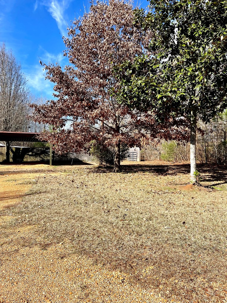 1132 4th Street Wesson, MS 39191 - Photo 45 of 46 Photo 45