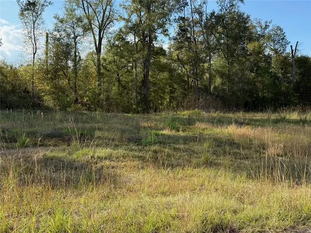 $59,900 | 43439-0 Springwood Way, Hammond, LA 70403