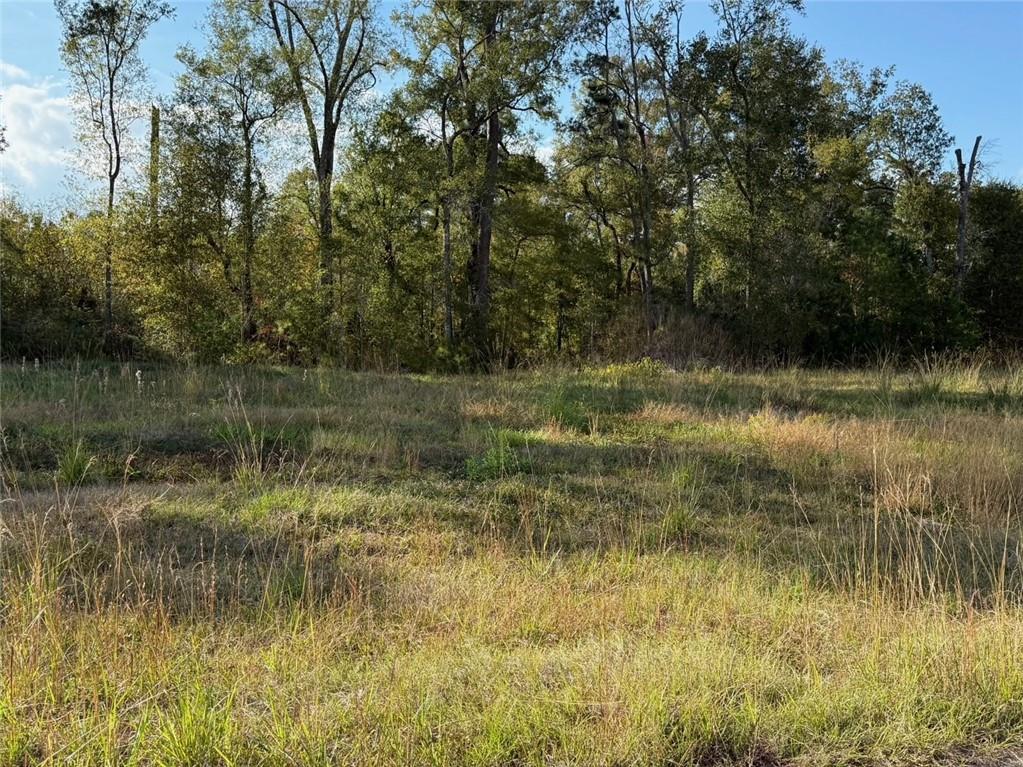 43439-0 Springwood Way Hammond, LA 70403 - Photo 2 of 4