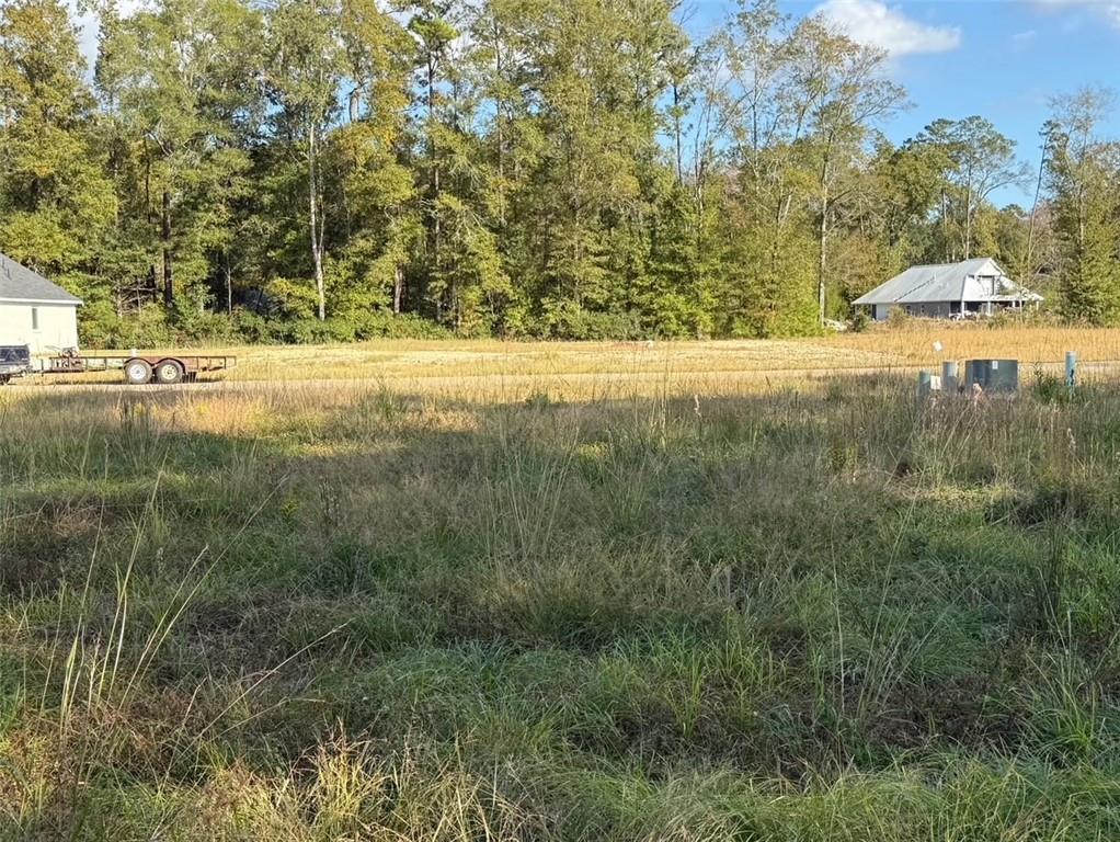 43439-0 Springwood Way Hammond, LA 70403 - Photo 3 of 4