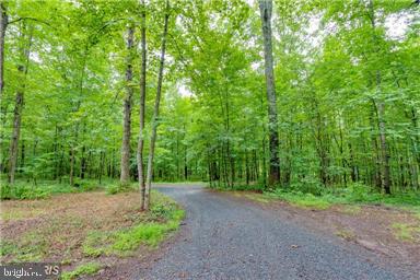 6655 Beach Road Warrenton, VA 20187 - Photo 5 of 11 Road