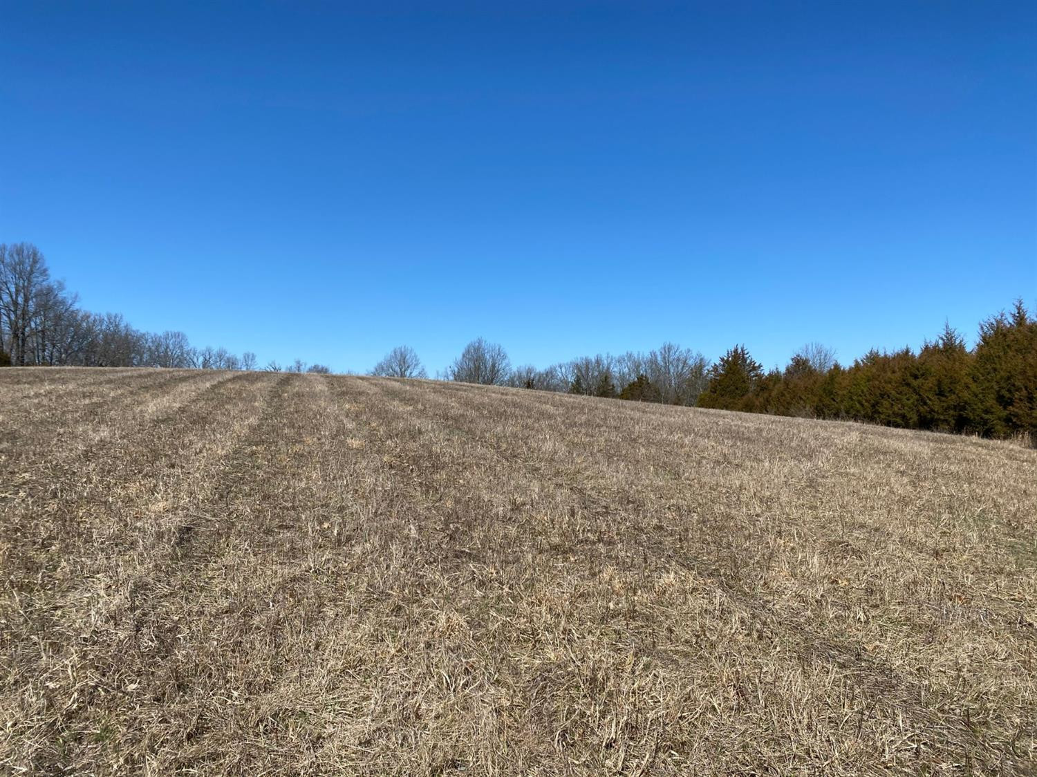 0 Denny Road Corinth, KY 41010 - Photo 11 of 18 Photo 11