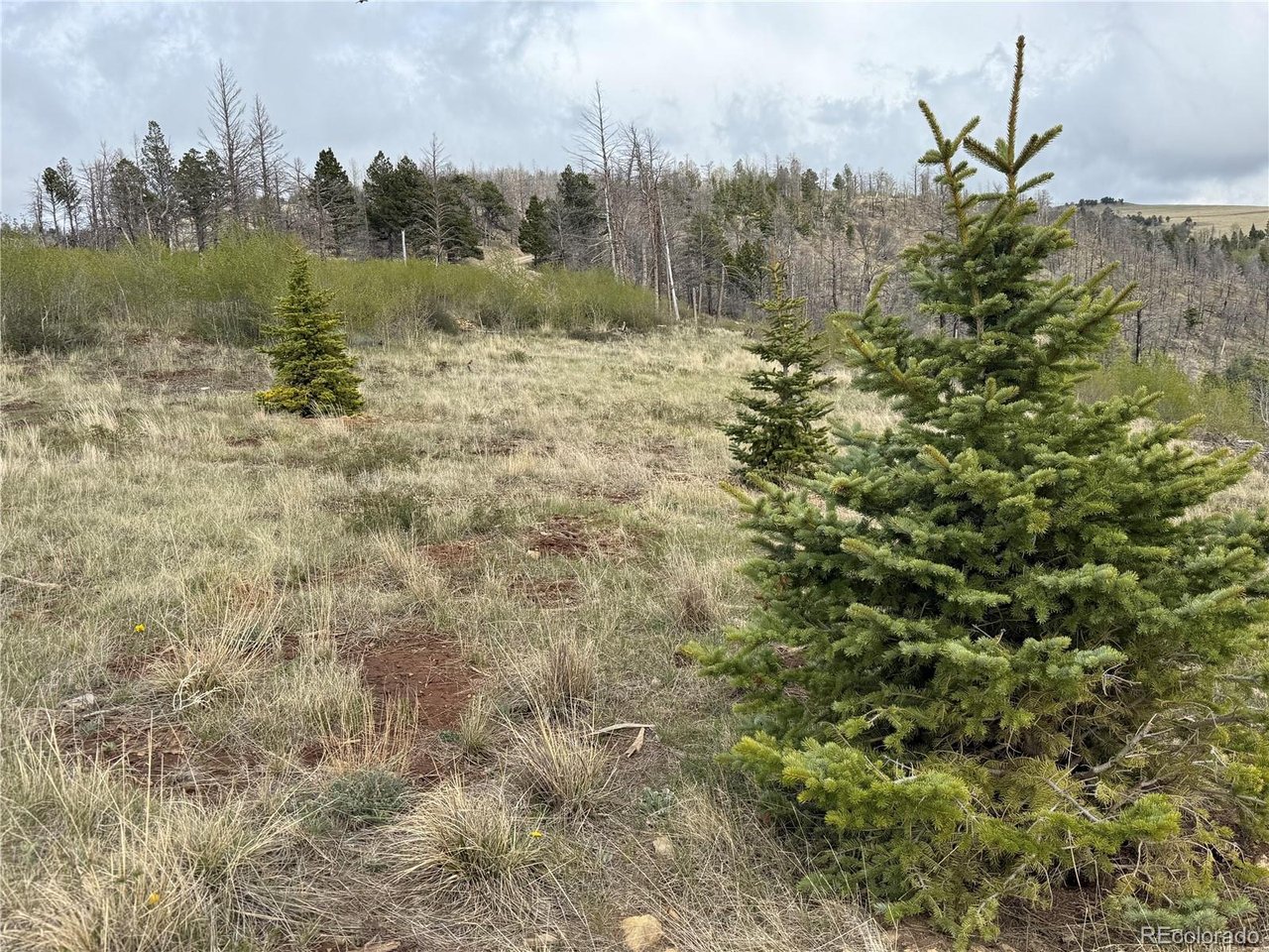406 Schierl Road Fort Garland, CO 81133 - Photo 40 of 50