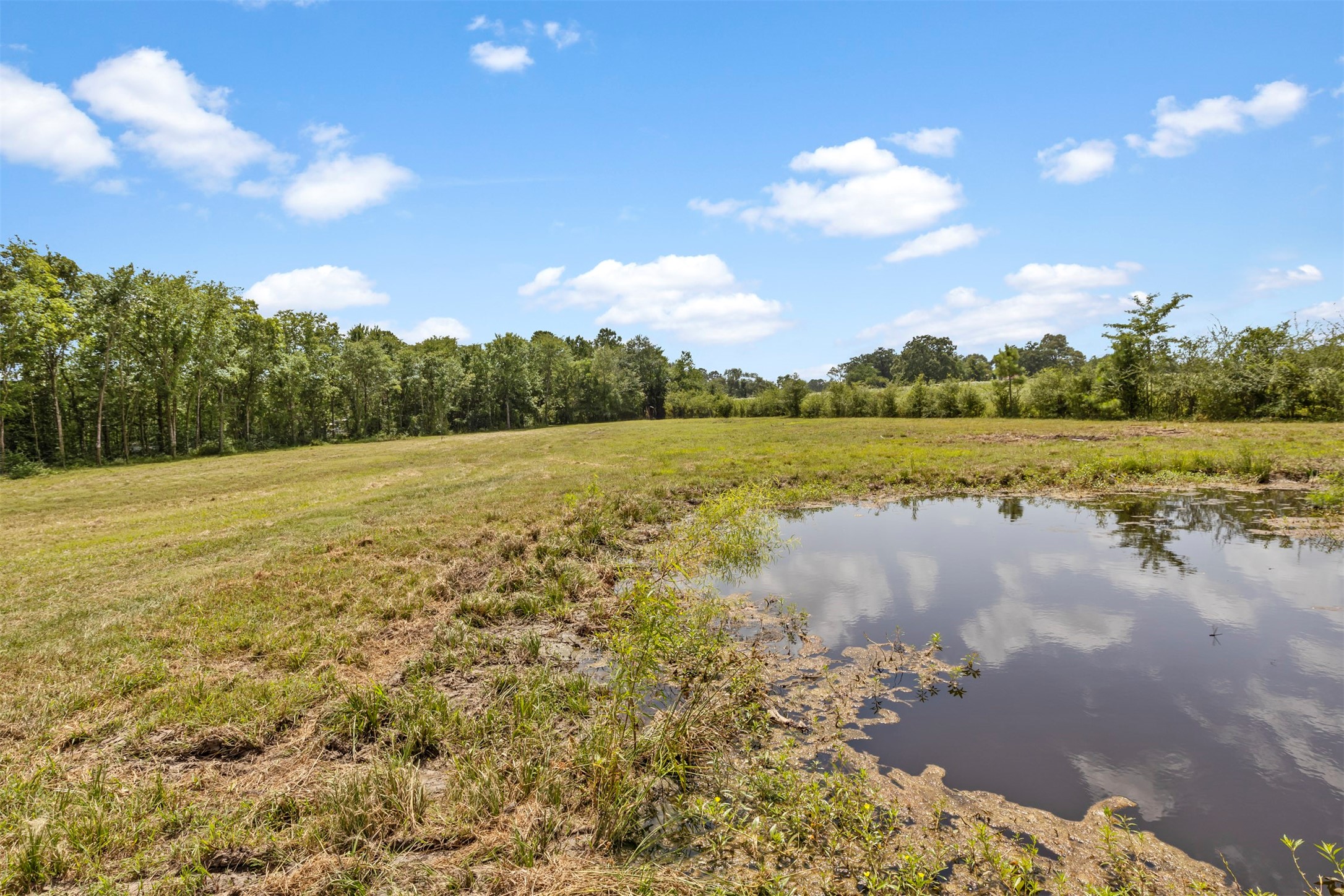 18022 Rogers Road New Waverly, TX 77358 - Photo 45 of 49 Small Pond