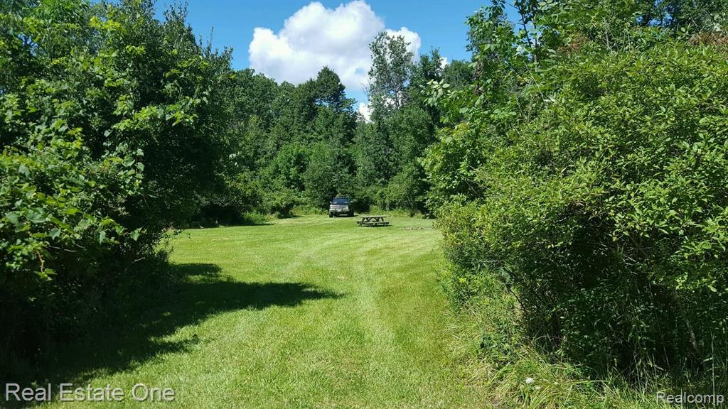 0 Atwell Road Dryden, MI 48428 - Photo 1 of 1