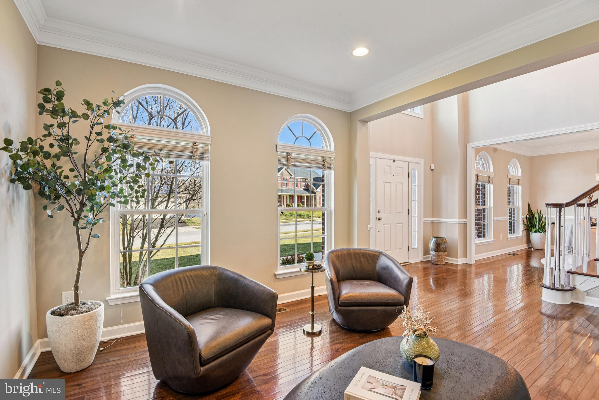 1705 Wolcott Way Hanover, MD 21076 - Photo 10 of 67 a living room with furniture and a potted plant
