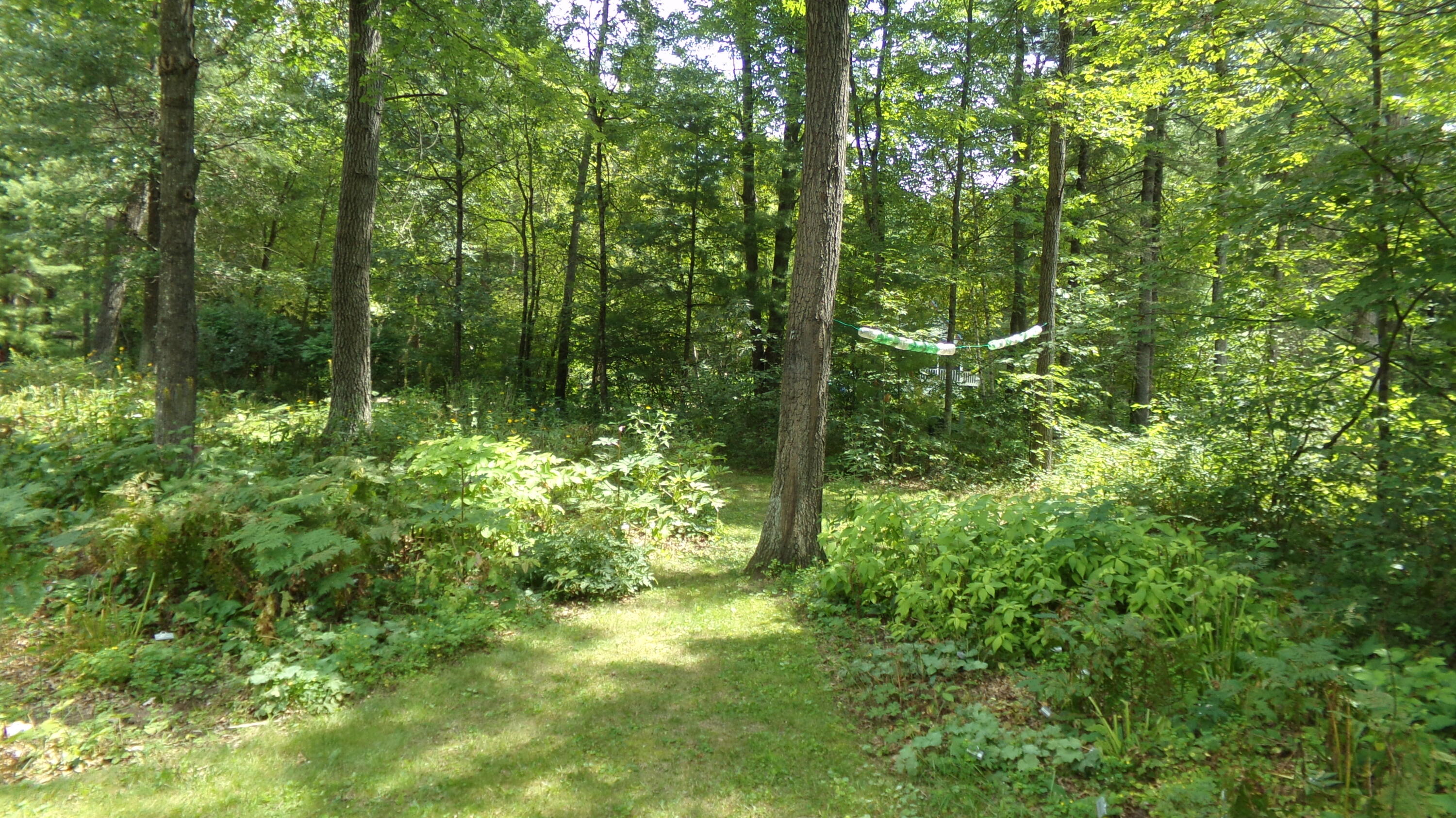 N1619 Fox Ridge Trail Menominee, WI 54135 - Photo 12 of 40 Yard View