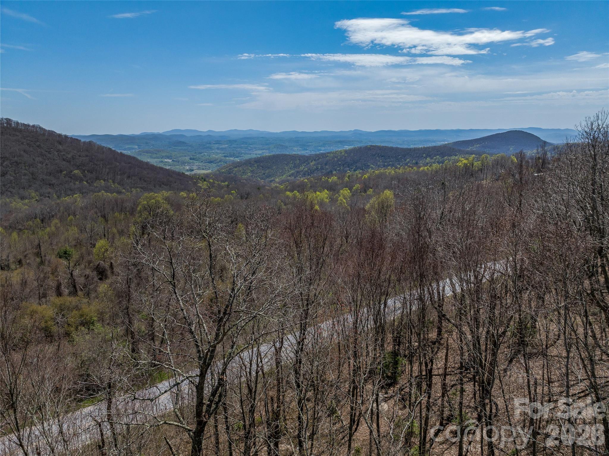 370 Autumn Ridge Lane, Unit 75 Hendersonville, NC 28792 - Photo 9 of 27