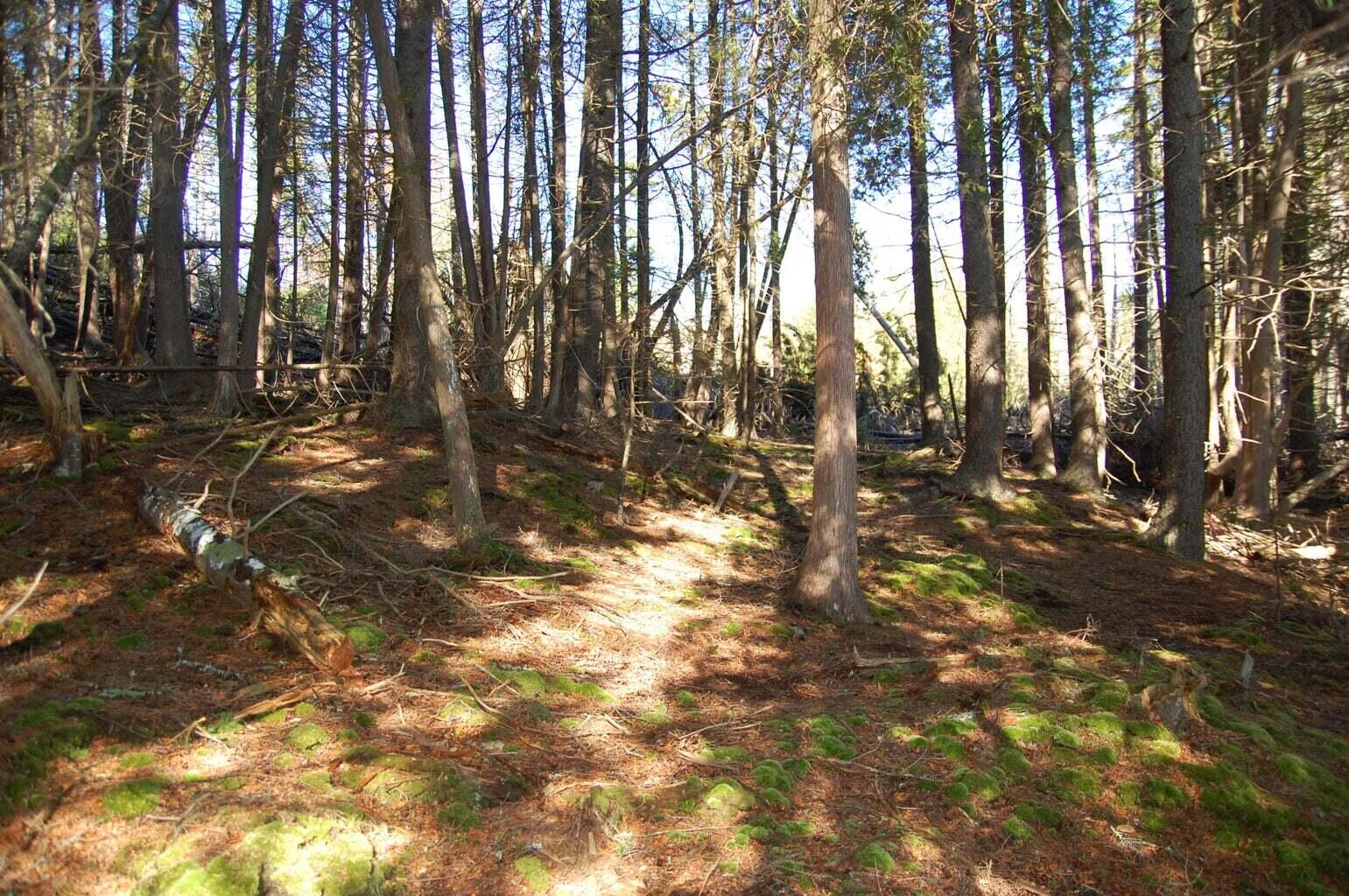 1-2 Bayview Road Orrs Island, ME 04066 - Photo 30 of 35 20210308161303657734000000-o
