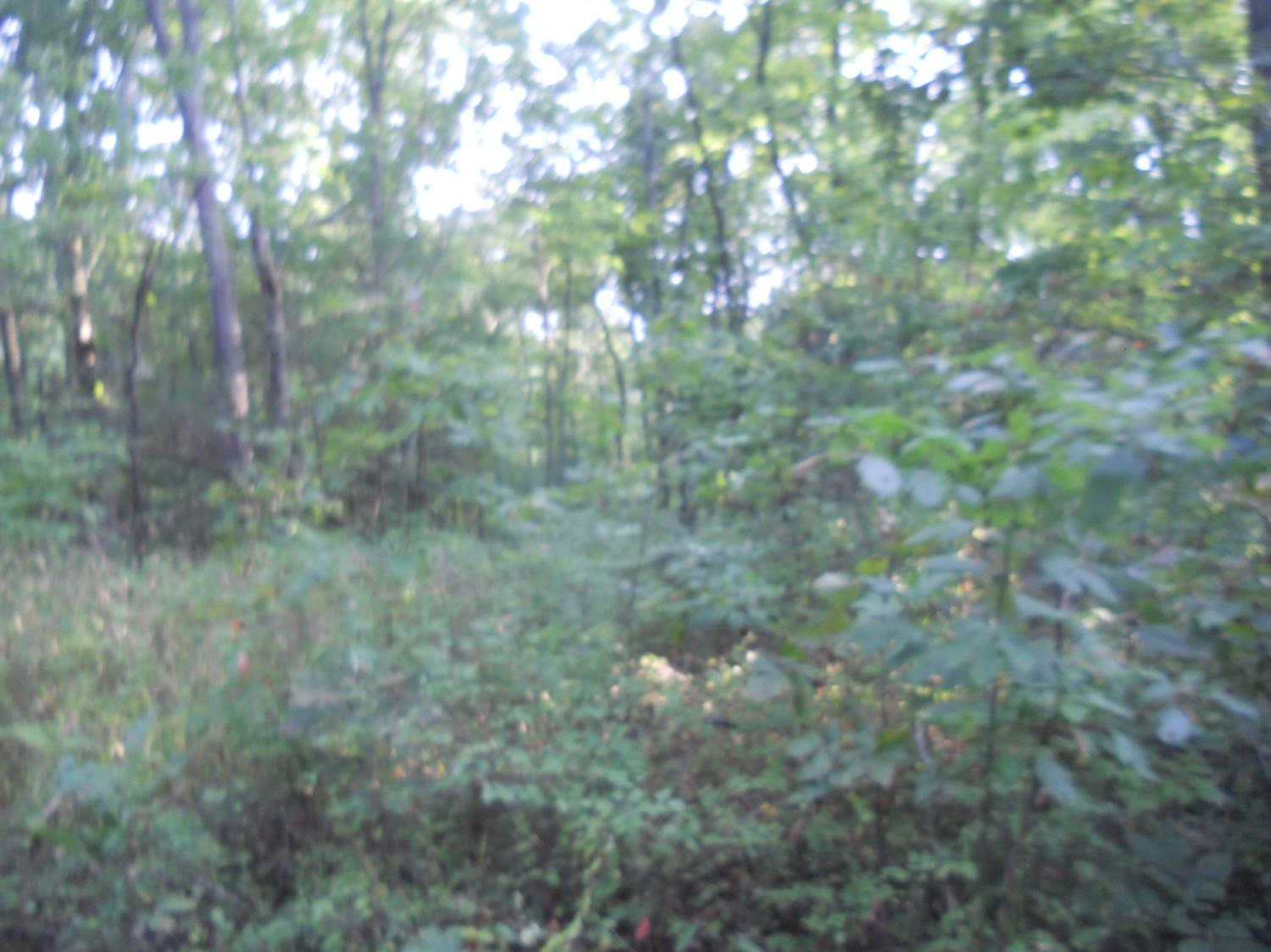 4164 Bardstown Road Lawrenceburg, KY 40342 - Photo 5 of 22 Photo 5