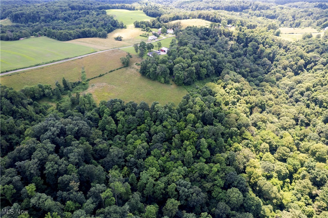 1292 Cinder Road Southeast Carrollton, OH 44615 - Photo 11 of 42 View of rural area featuring a forest