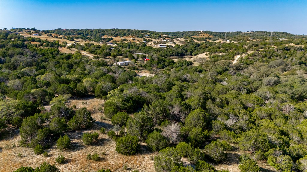 135 Feather Ridge Rd Center Point Center Point, TX 78010 - Photo 4 of 23