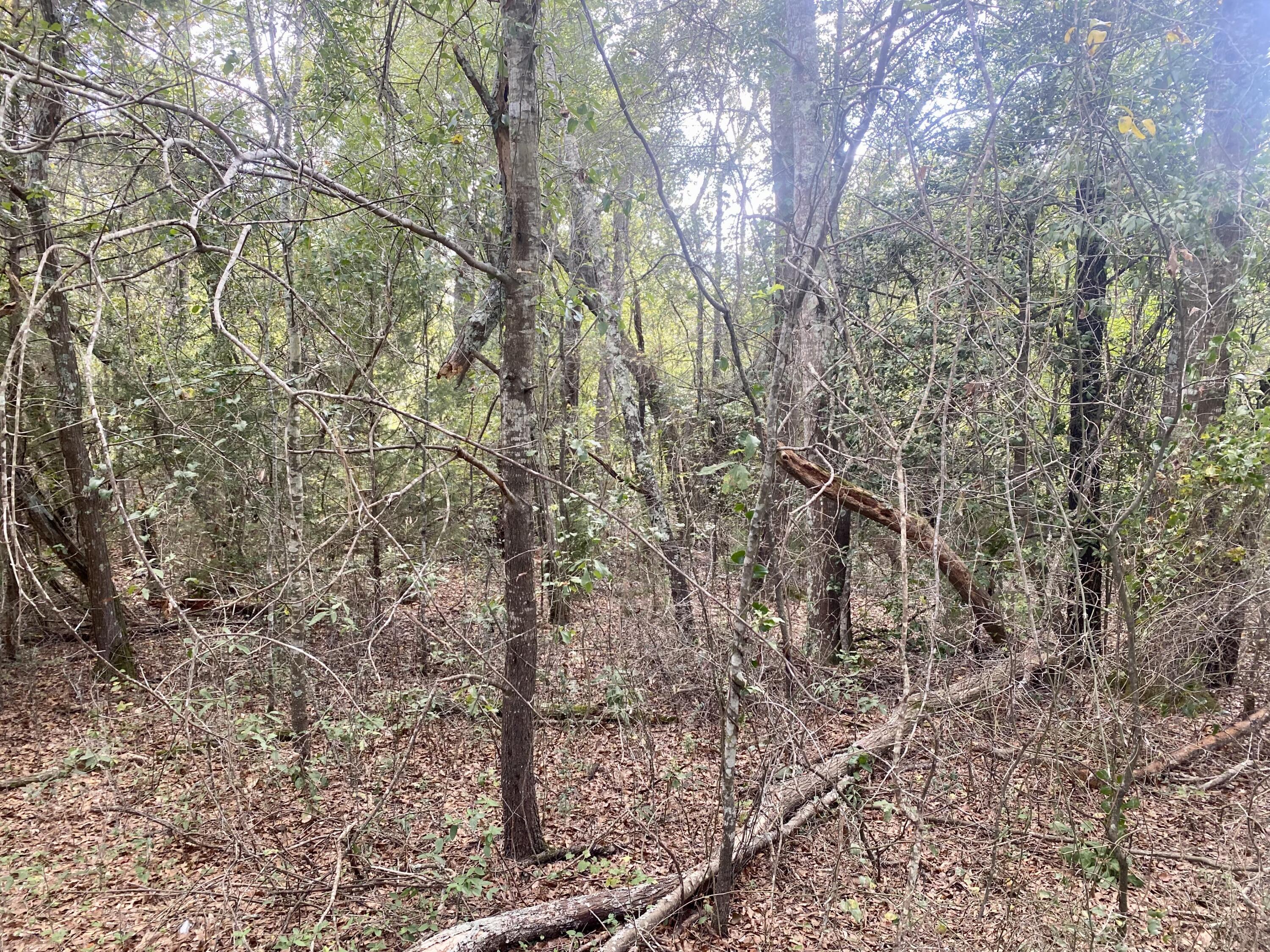 0 Myers Road Graniteville, SC 29829 - Photo 3 of 4