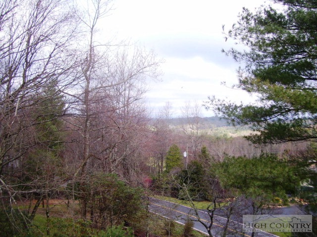 70 Ridge Road Glade Valley, NC 28627 - Photo 17 of 34 Gallery Image 17