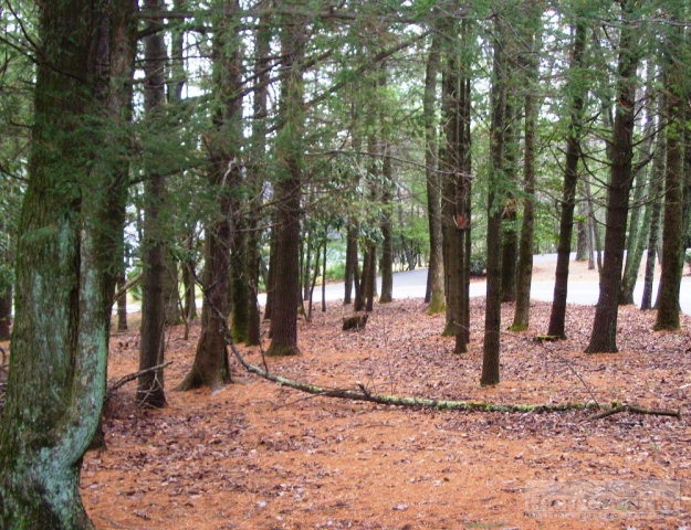 70 Ridge Road Glade Valley, NC 28627 - Photo 23 of 34 Gallery Image 23