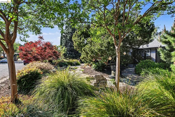 a view of flowers in a garden