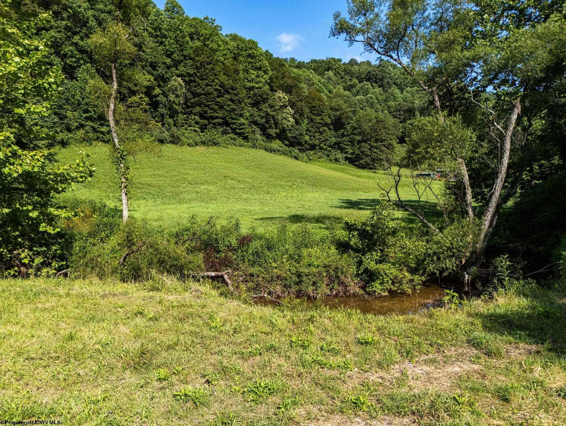 431 Big Elk Road Wallace, WV 26448 - Photo 11 of 26 Gallery Image 11