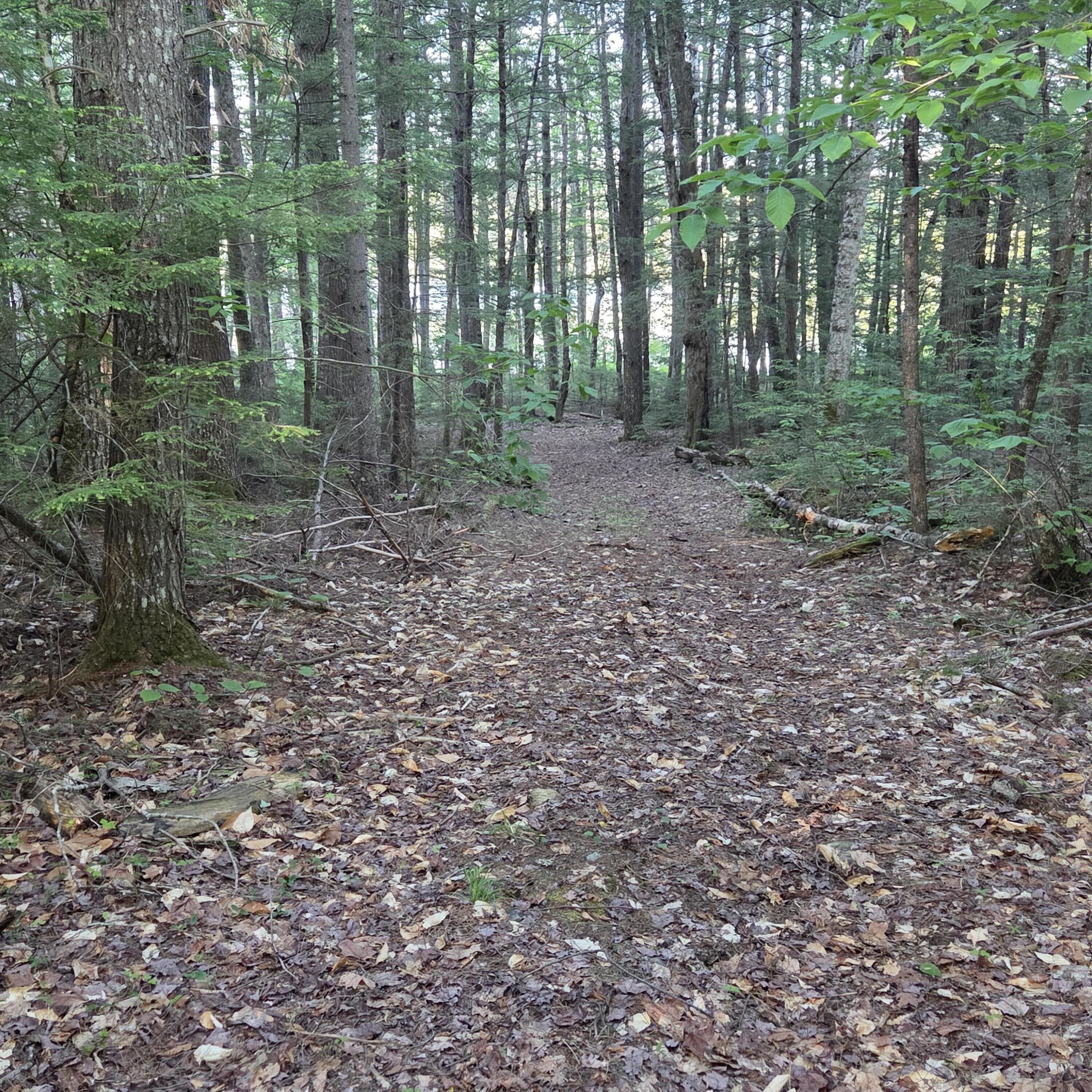 74 Eagle Ridge Road Lincoln, ME 04457 - Photo 14 of 32