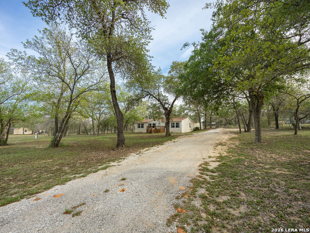 135 Savannah Ridge Von Ormy, TX 78073 - Photo 5 of 45 a view of a yard with a tree