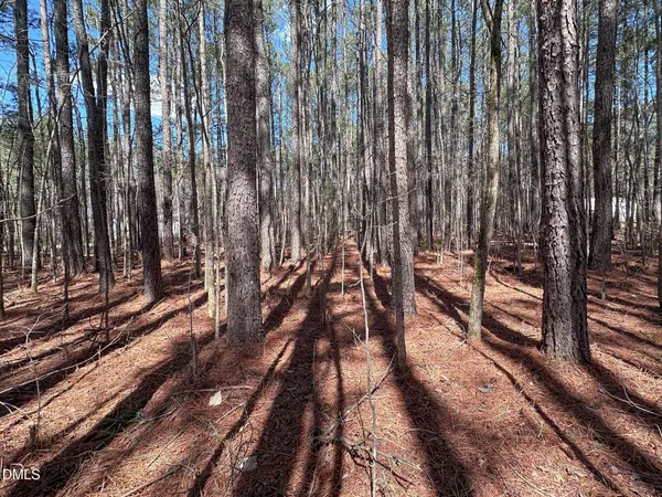 $22,000 | 0 Slick Williams Road, Macon, NC 27551