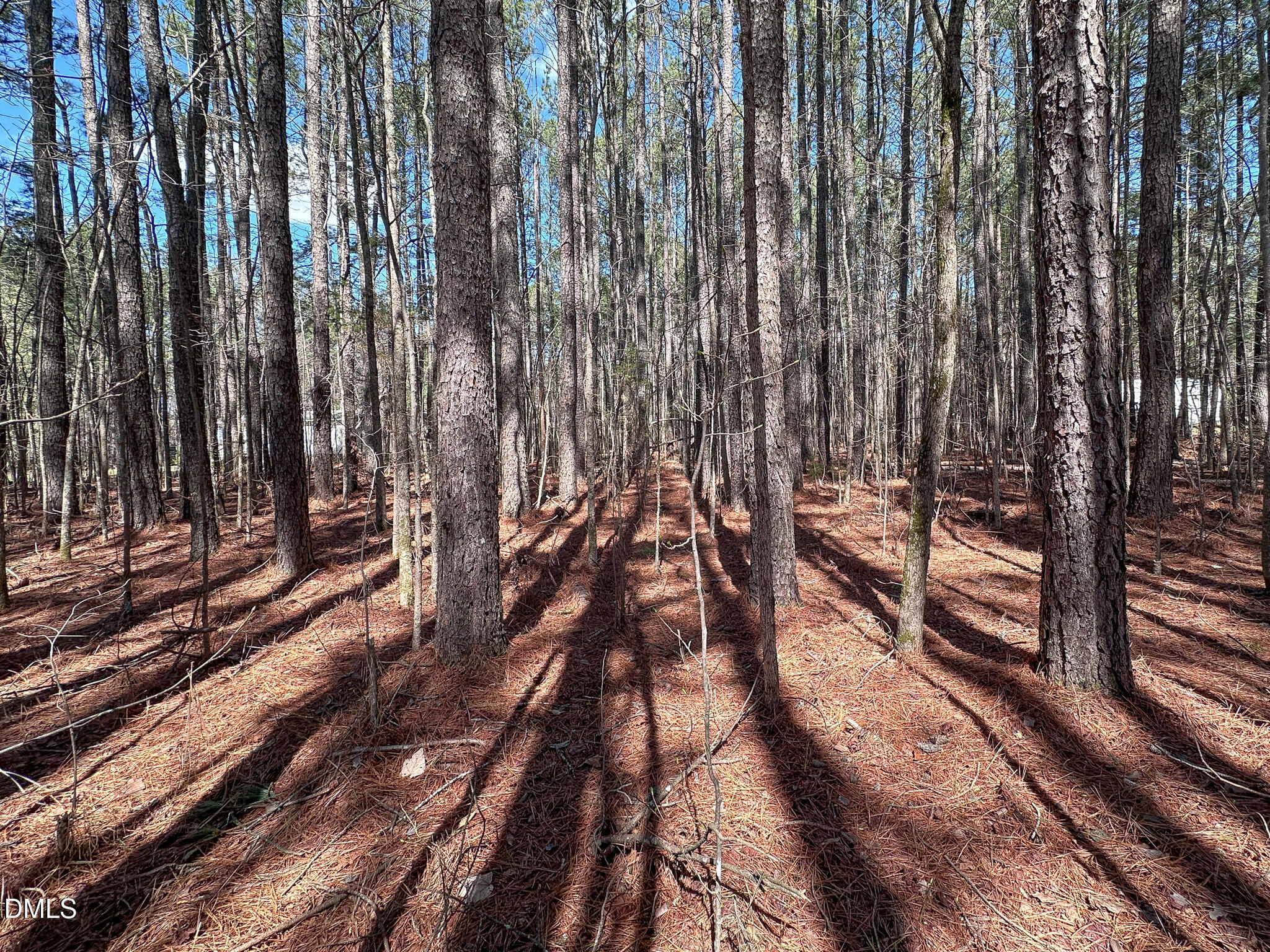 0 Slick Williams Road Macon, NC 27551 - Photo 6 of 8 a view of a backyard of the house