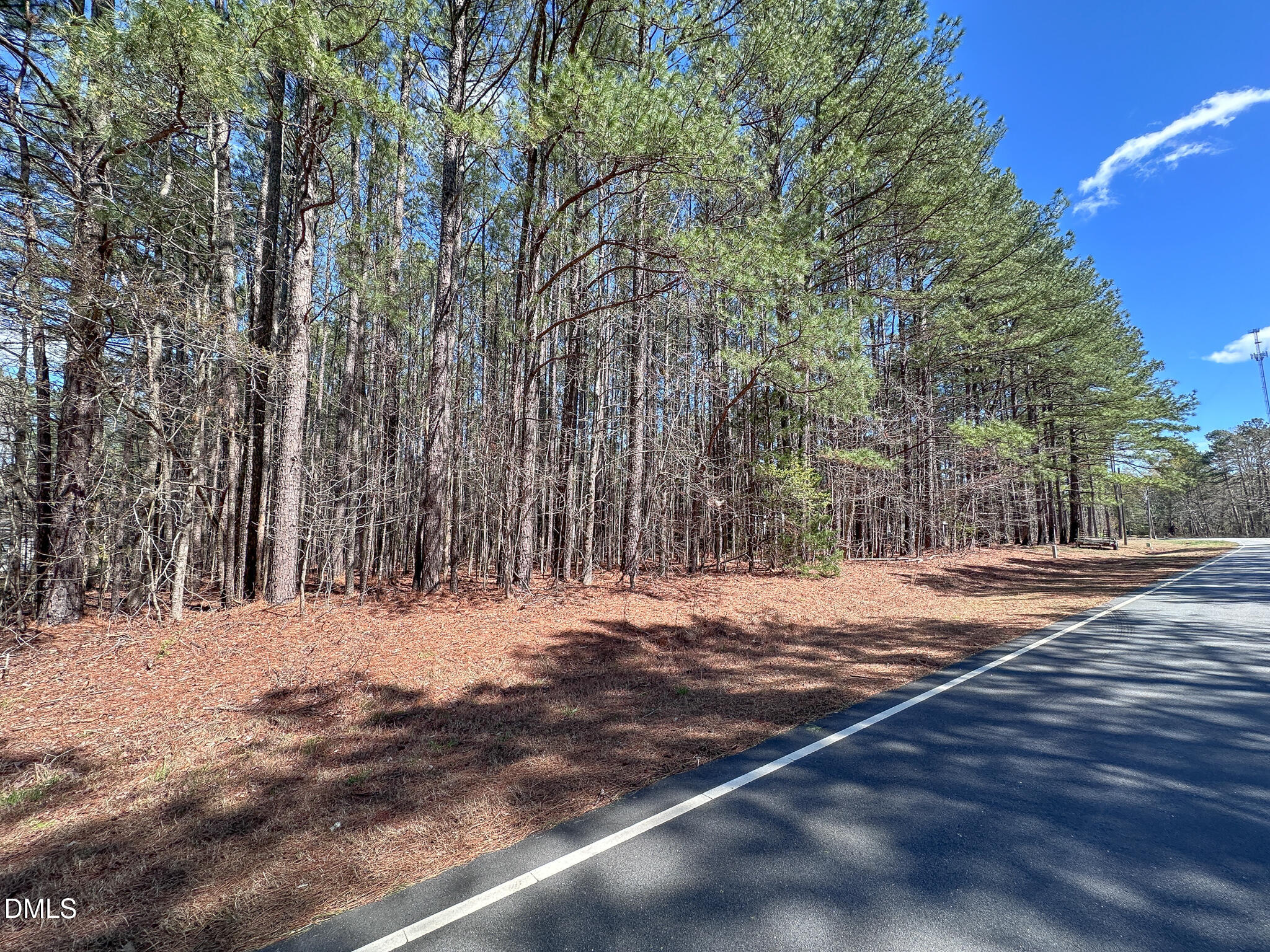 0 Slick Williams Road Macon, NC 27551 - Photo 7 of 8 a view of a yard with snow