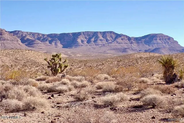 a view of a field with a mountain in the background
