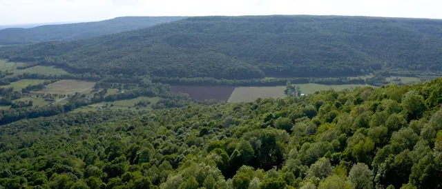 $1,349,000 | 256 Vista Vue Trail, Pelham, TN 37366