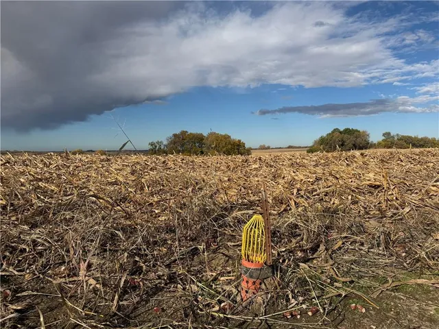 $10,000 | Us-71 Highway, Bolckow, MO 64427