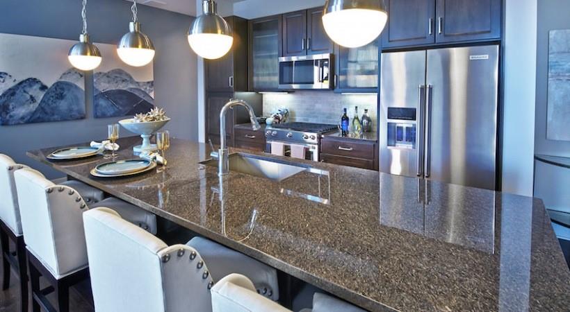 2728 Cedar Springs Road, Unit 1801 Dallas, TX 75201 - Photo 6 of 26 a kitchen with stainless steel appliances granite countertop a sink and a refrigerator