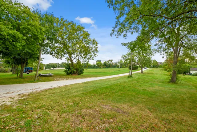 a view of a tree in a yard