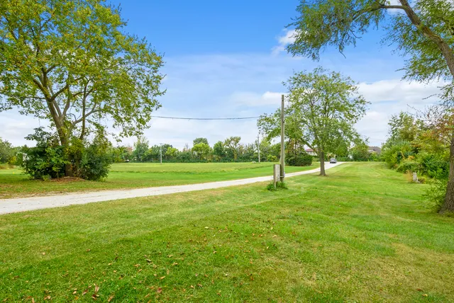 a view of a trees with a yard