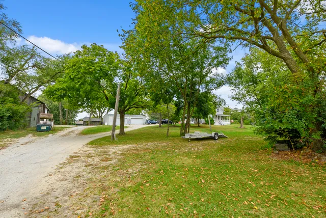 a view of a tree in a park