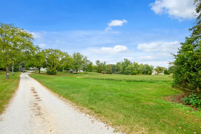 a view of a park with large trees